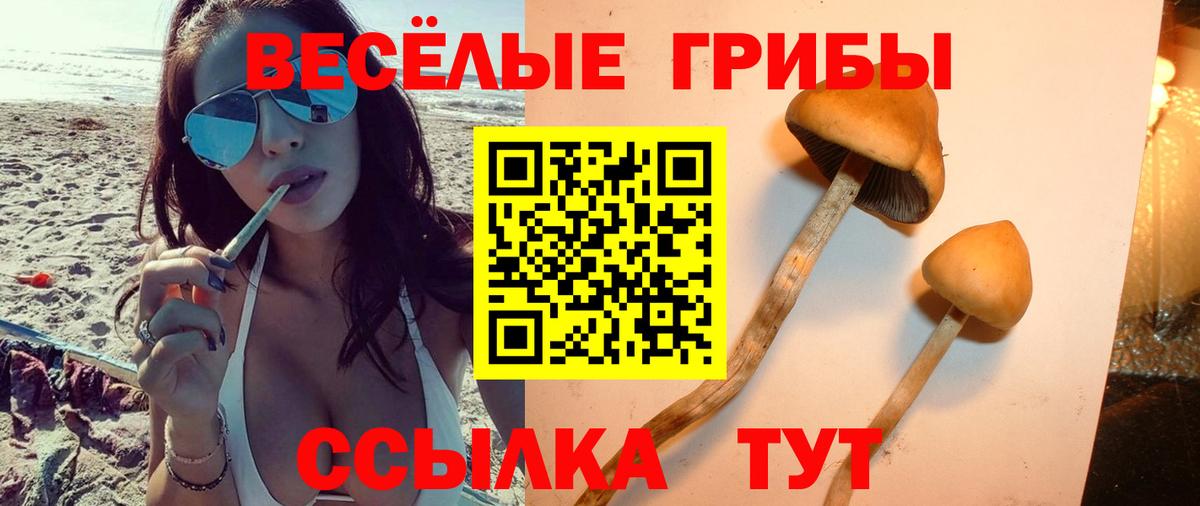 Галлюциногенные грибы Cubensis Великие Луки