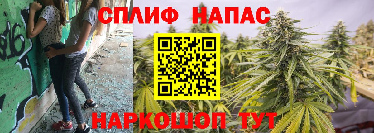 МАРИХУАНА конопля Великие Луки